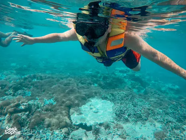 Snorkeling Persendirian di Gili Utara | Lihat Arca Bawah Laut & Lawat Pusat Penyu
