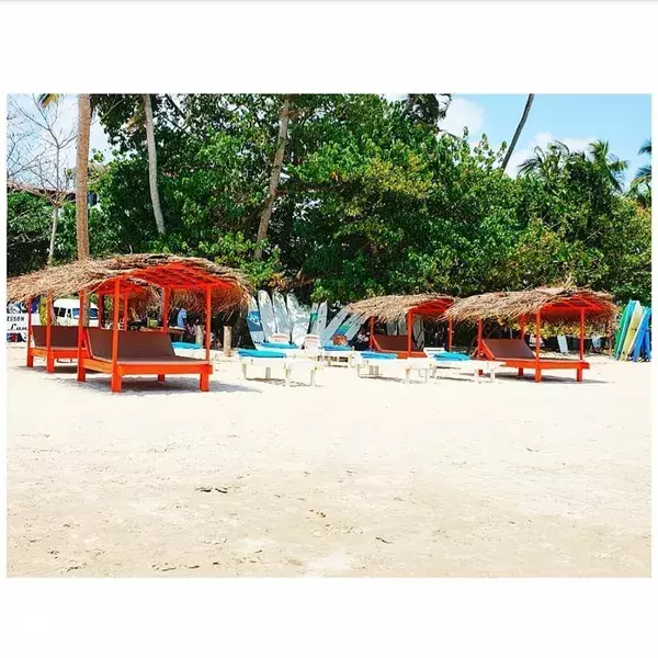 White sand beach at Surf N' Lanka in Weligama, with orange thatched parasols, rows of white sun loungers, and trees