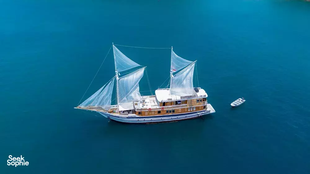 Seek Sophie option picture