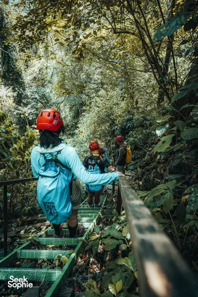 Helmeted hikers climbing metal steps through lush jungle in Phong Nha, led by Moc Nam Adventure on the trek