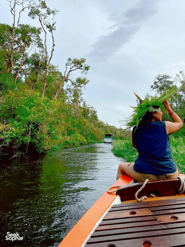 Seek Sophie option picture