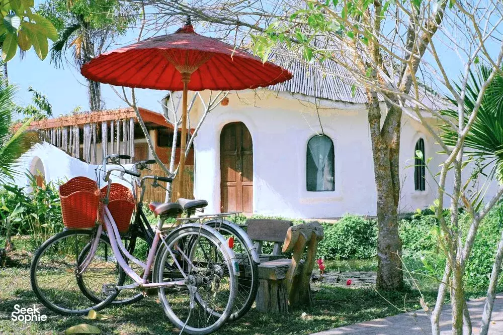 Seek Sophie option picture