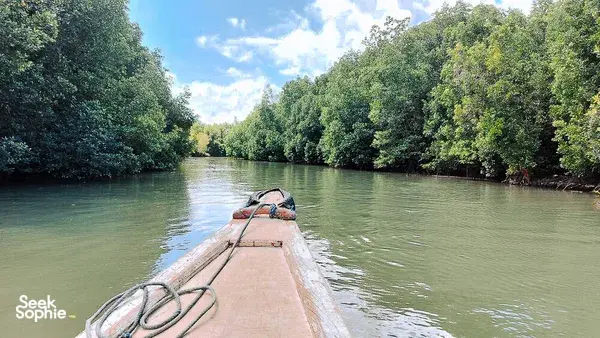 Boat ride through calm mangrove channels with the bow cutting the water and dense greenery along the shoreline, Labuan Bajo