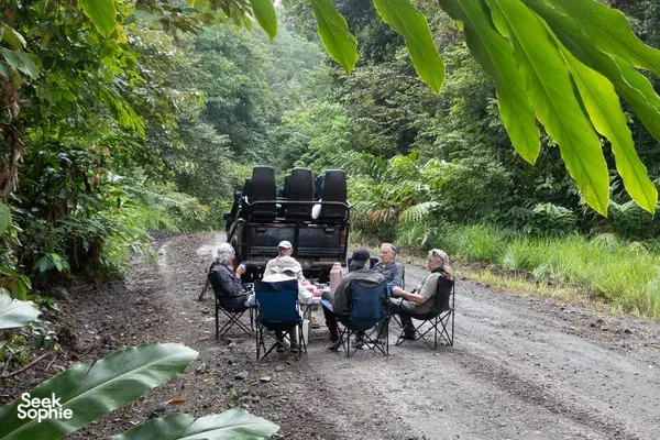Small group seated around folding chairs on a jungle path beneath rainforest leaves during the Deramakot 3D2N safari