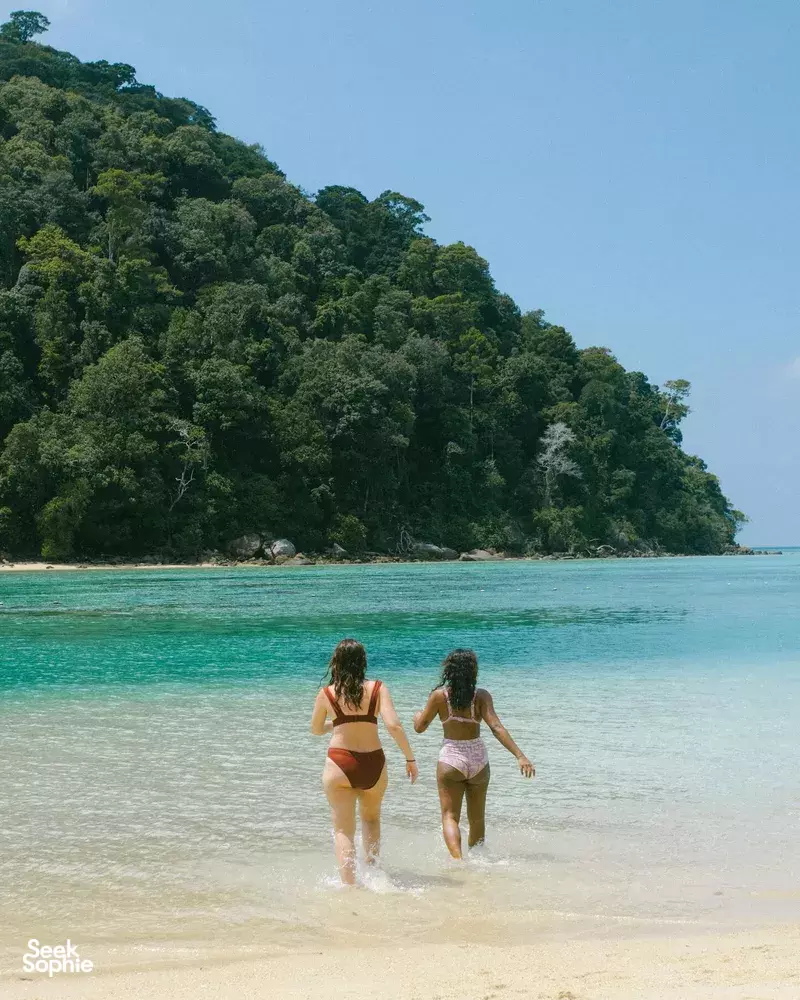 Seek Sophie option picture