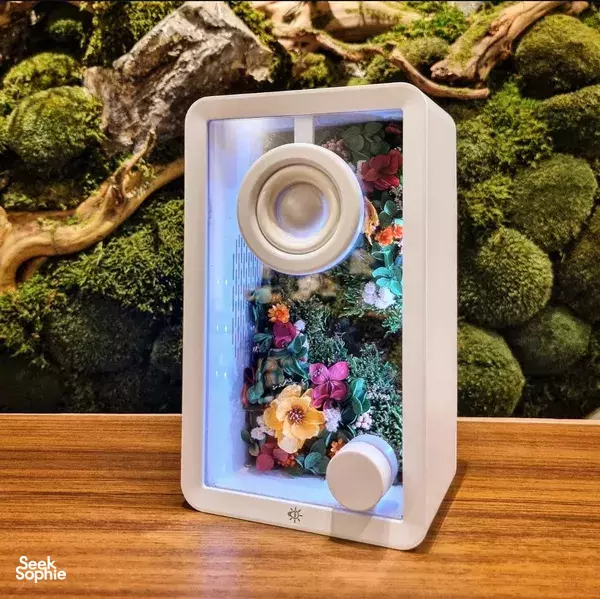 Build a Mossy Bluetooth Jukebox 