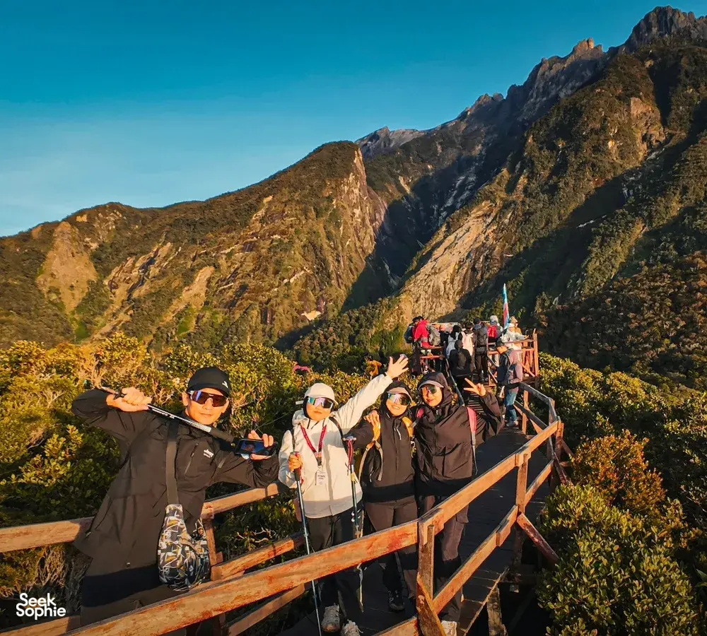 Seek Sophie option picture