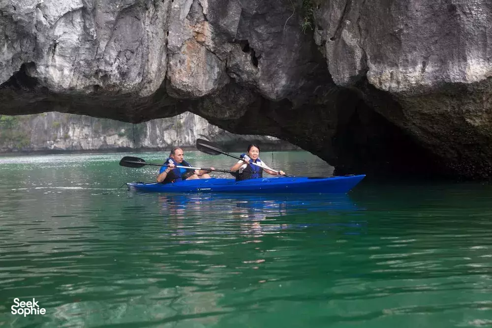 Seek Sophie option picture