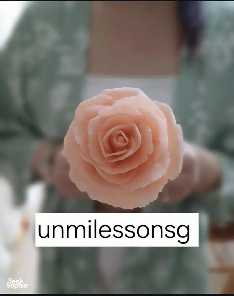 Seek Sophie option picture