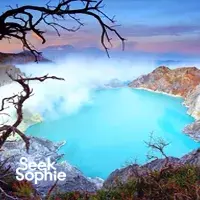 Seek Sophie option picture