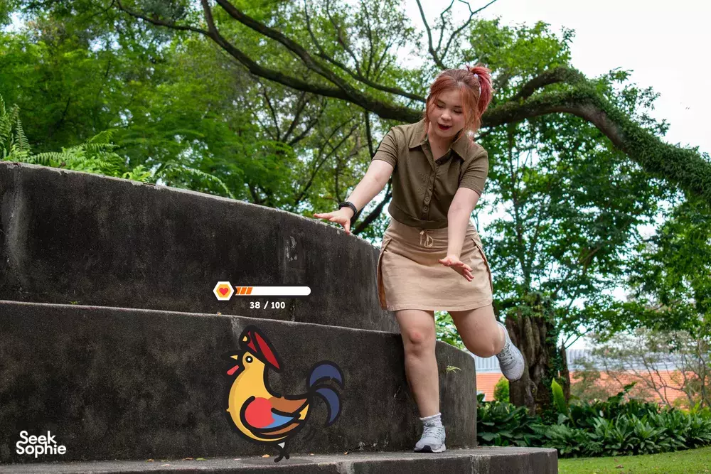 Seek Sophie option picture