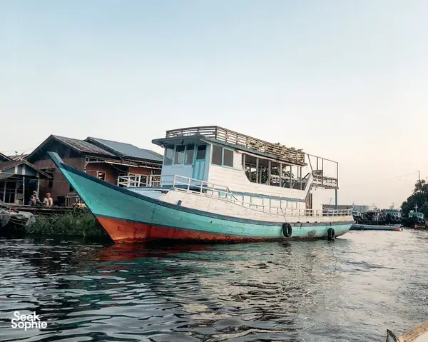 3D2N Tanjung Puting Orangutan Cruise | Most Comfy Boat with Aircon