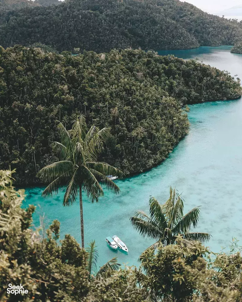 Seek Sophie option picture