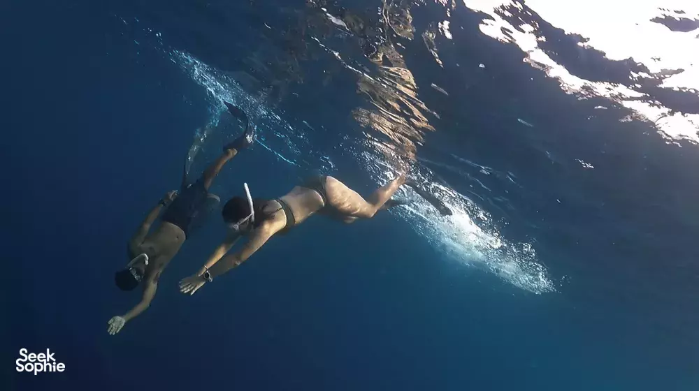 Seek Sophie option picture