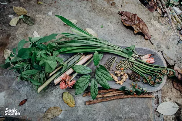 A Day with the Bidayuh Tribe: Support Local Communities