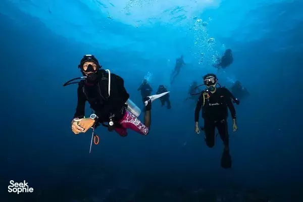 Discover Scuba Diving in Nusa Penida