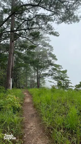 Doi Suthep Hidden Trail + Coffee Village