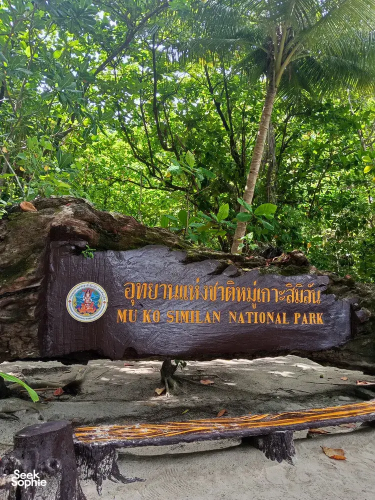 Seek Sophie option picture