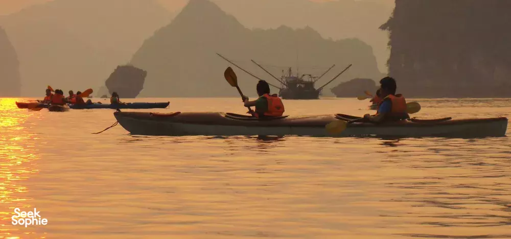 Seek Sophie option picture