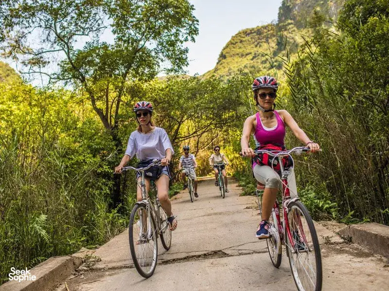 Seek Sophie option picture