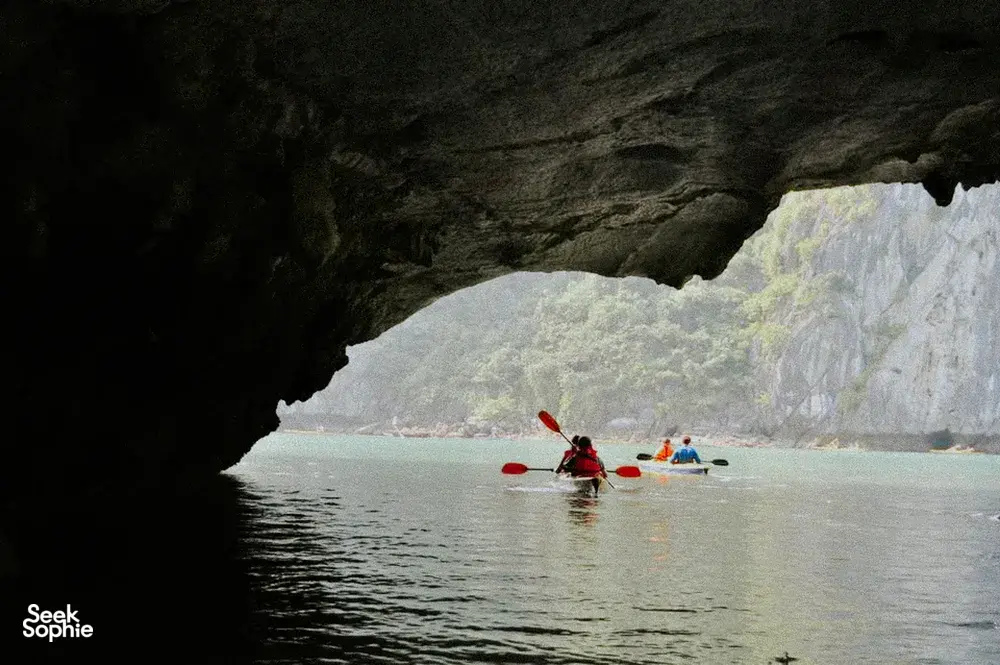 Seek Sophie option picture