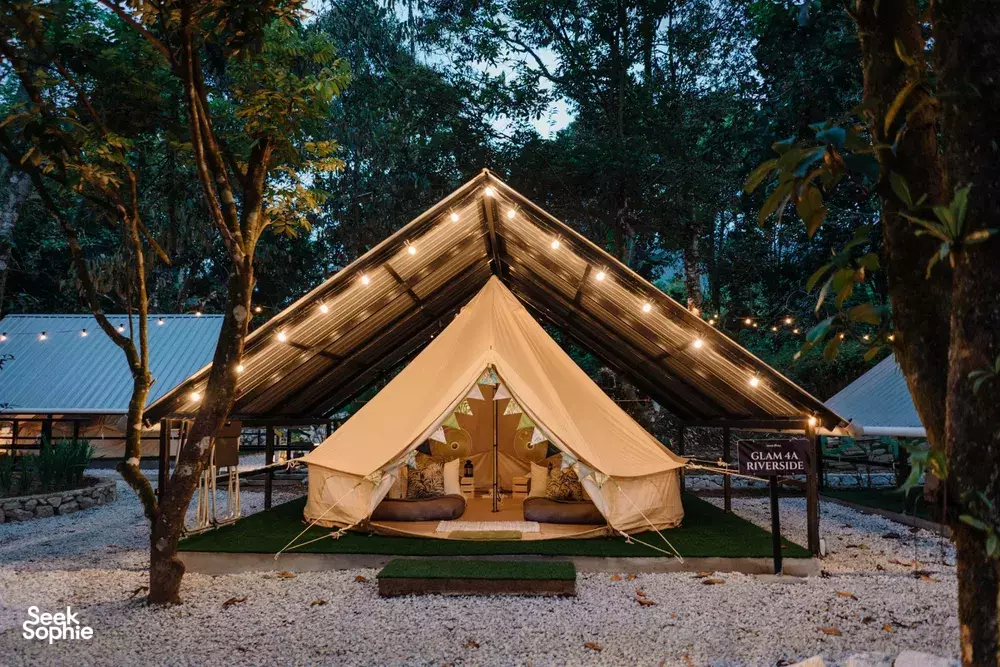 Seek Sophie option picture