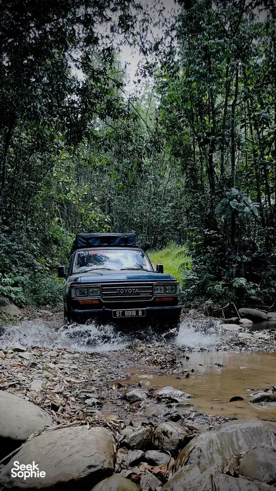 Seek Sophie option picture