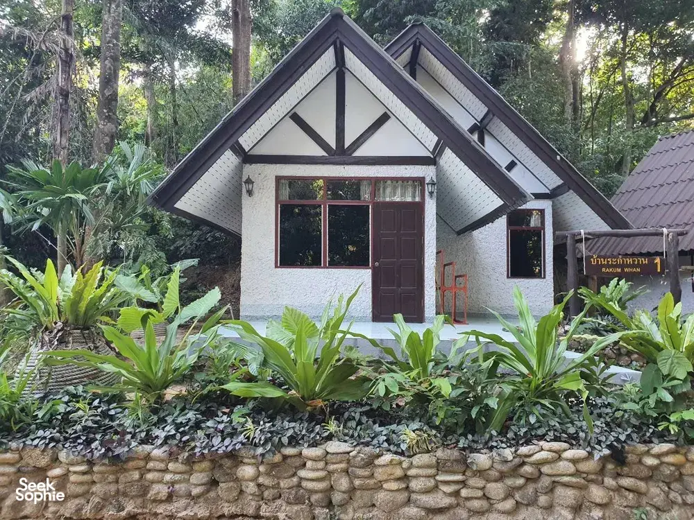 Seek Sophie option picture