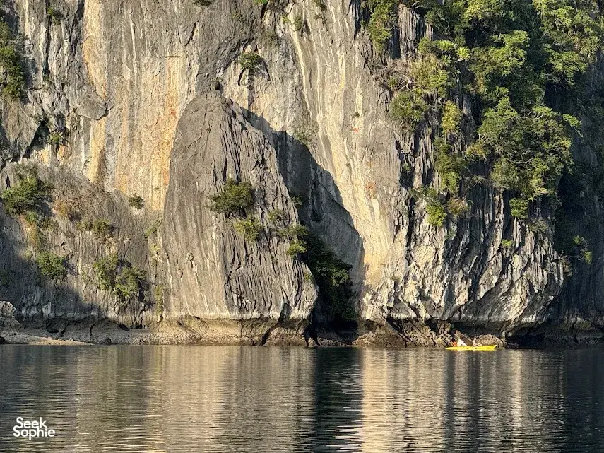 Seek Sophie option picture