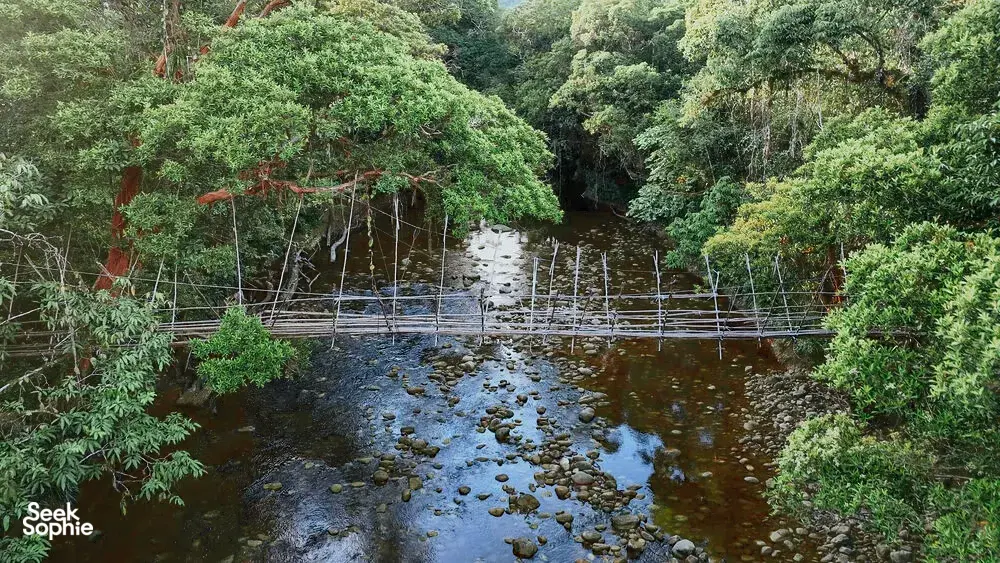 Calm river with a bamboo weir and dense rainforest banks at Ngapuh Homestead on Bidayuh ancestral land near Kuching