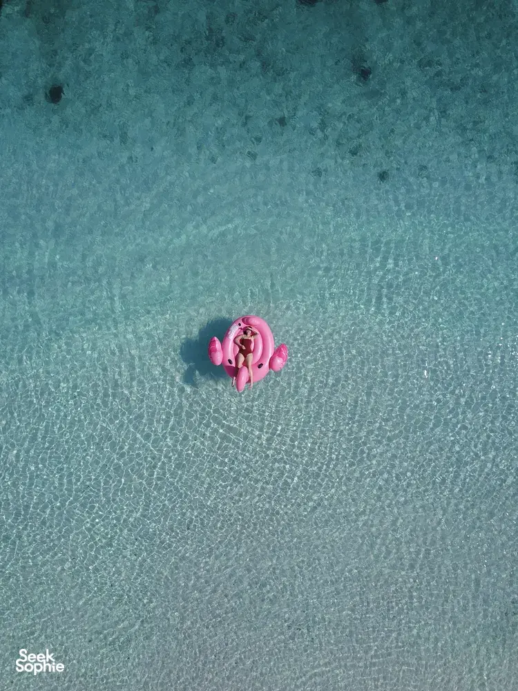 Seek Sophie option picture