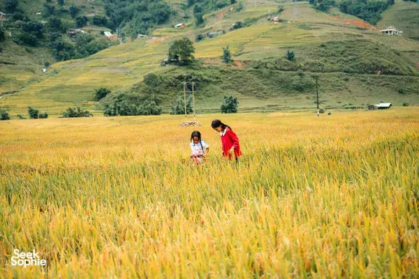 Short & Easy Scenic Sapa Trek Through Rice Terraces & Villages
