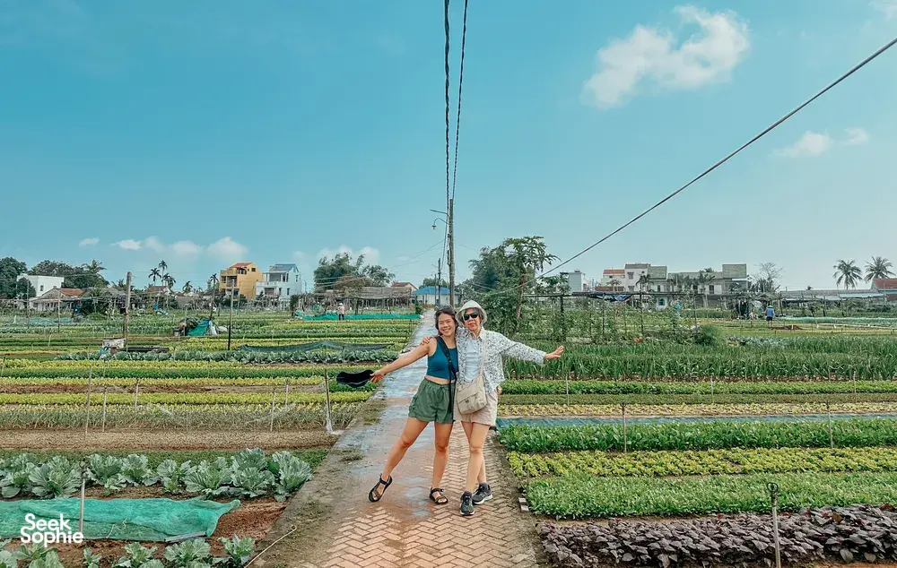 Seek Sophie option picture