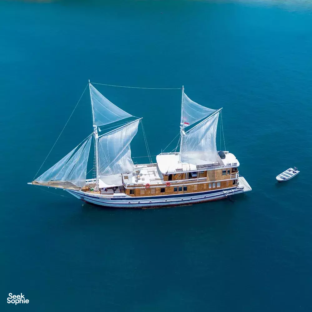 Seek Sophie option picture