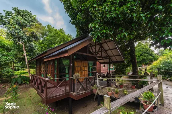 2D1N Orangutans, Sun Bears & Kinabatangan River Safari | Sepilok stay