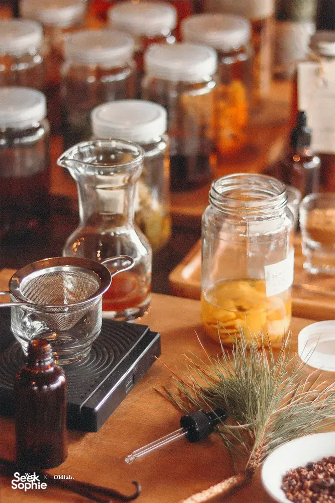 Seek Sophie option picture