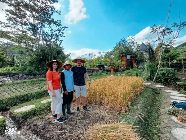 Three travellers standing in an organic garden with straw piles and mountain views in Sidemen, Bali during Balinese vegan cooking