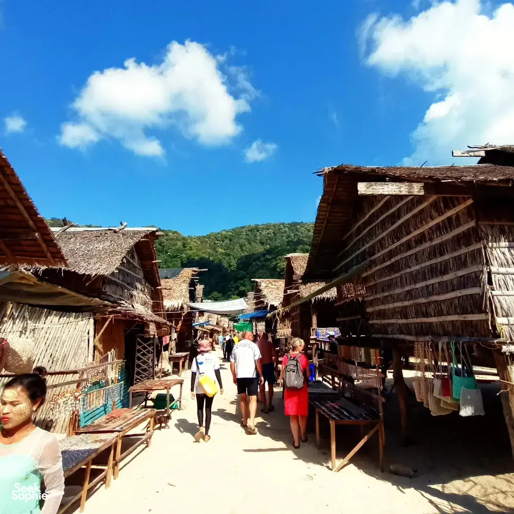 Seek Sophie option picture