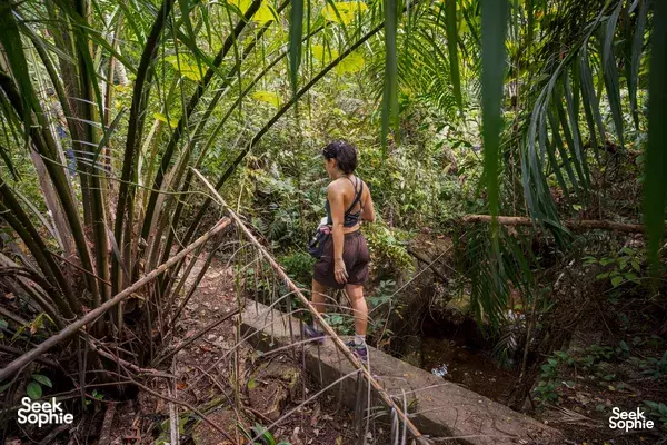 Back view hiker on a stone bank by a shallow stream in bamboo at Mount Faber in Singapore on a war-relics hike — Singapore hidden gems