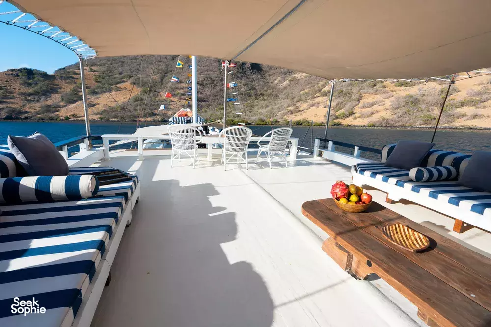 Seek Sophie option picture