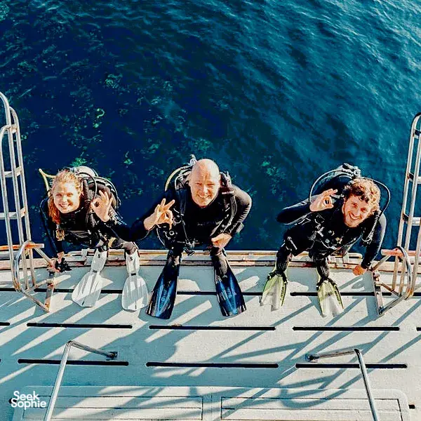 2 Fun Dives in Similan from Khao Lak | Comfy Boat & Experienced Team