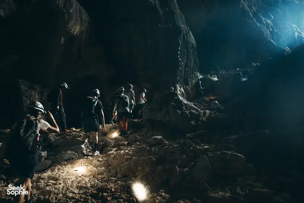 Seek Sophie option picture