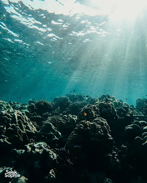 Private Half Day Snorkelling Trip in Khao Lak's Secret Beach 