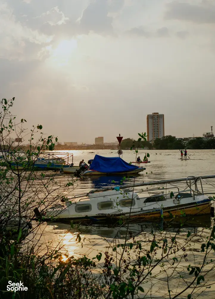 Seek Sophie option picture