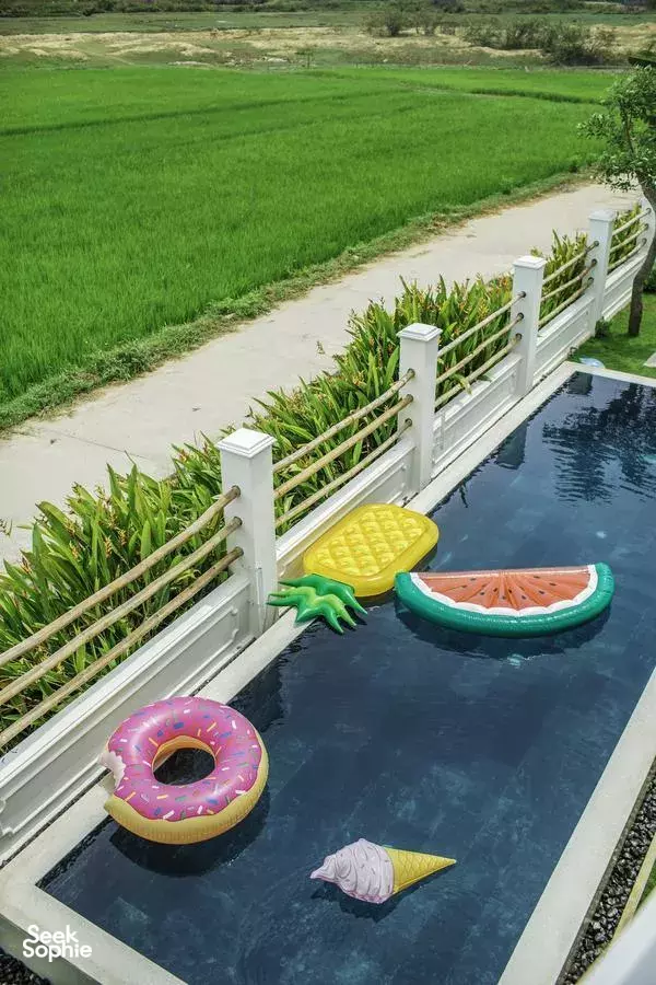 Seek Sophie option picture