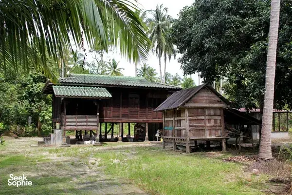 Tropical wooden stilt houses and garden greenery in a Langkawi village during the cycling route with Dev's Adventure Tours