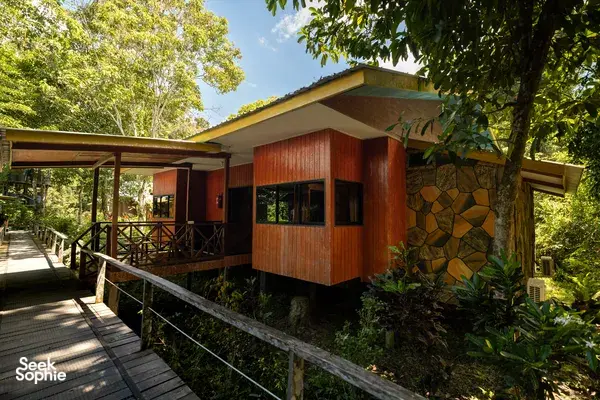 3D2N Kinabatangan River Safari | With Orangutans, Sunbears & City Tour