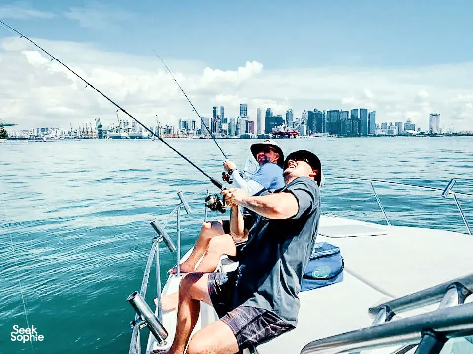 Seek Sophie option picture