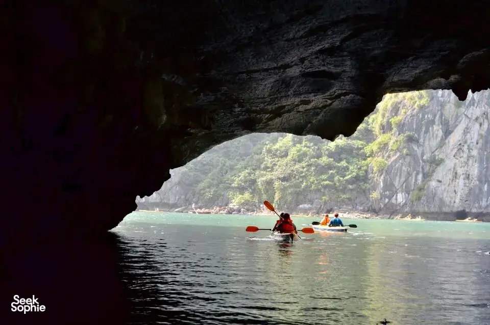 Seek Sophie option picture