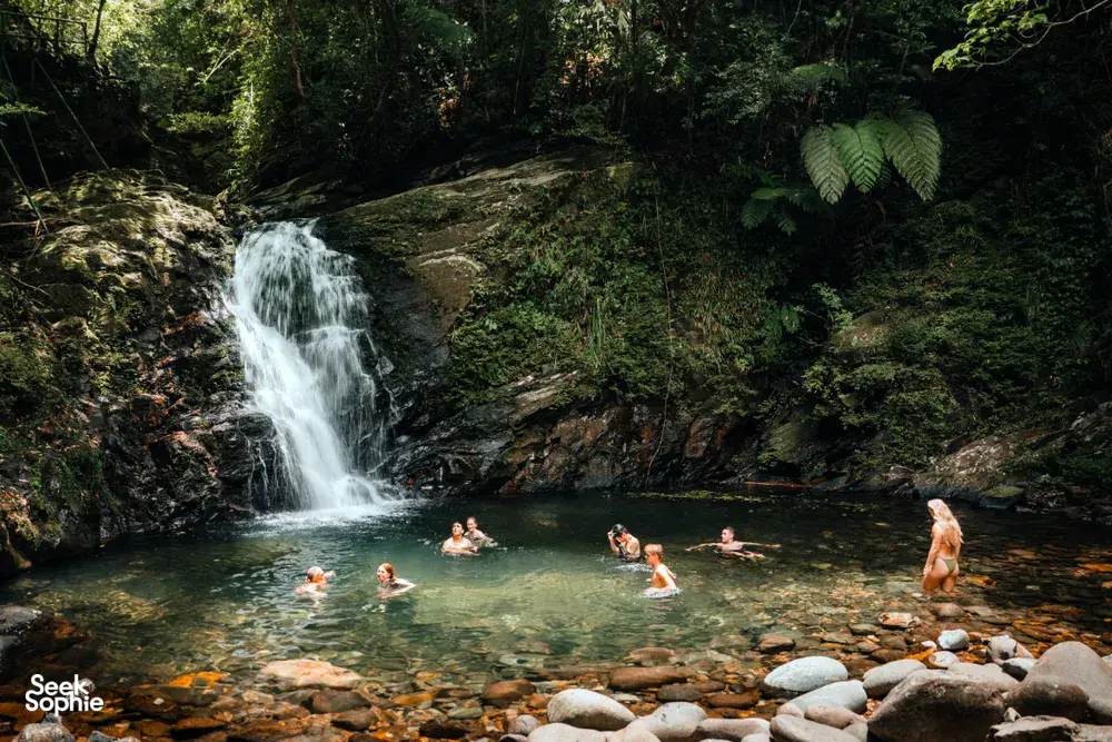 Seek Sophie option picture